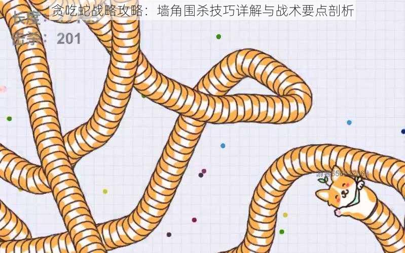 贪吃蛇战略攻略：墙角围杀技巧详解与战术要点剖析