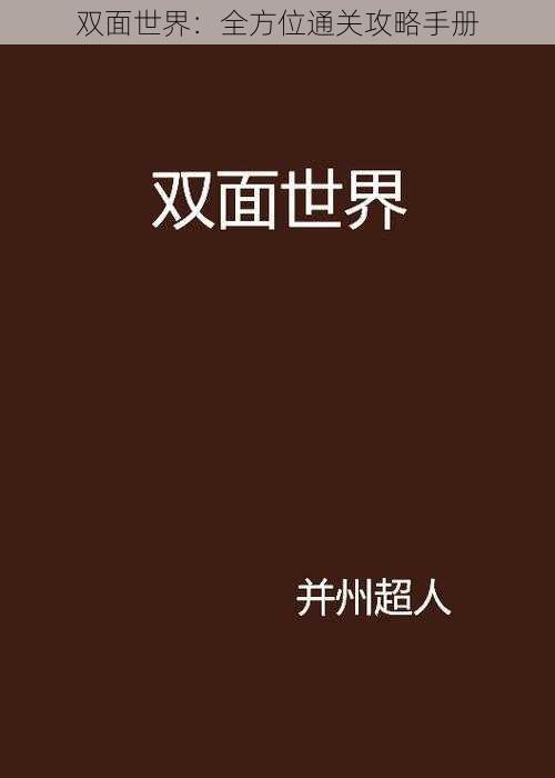 双面世界：全方位通关攻略手册