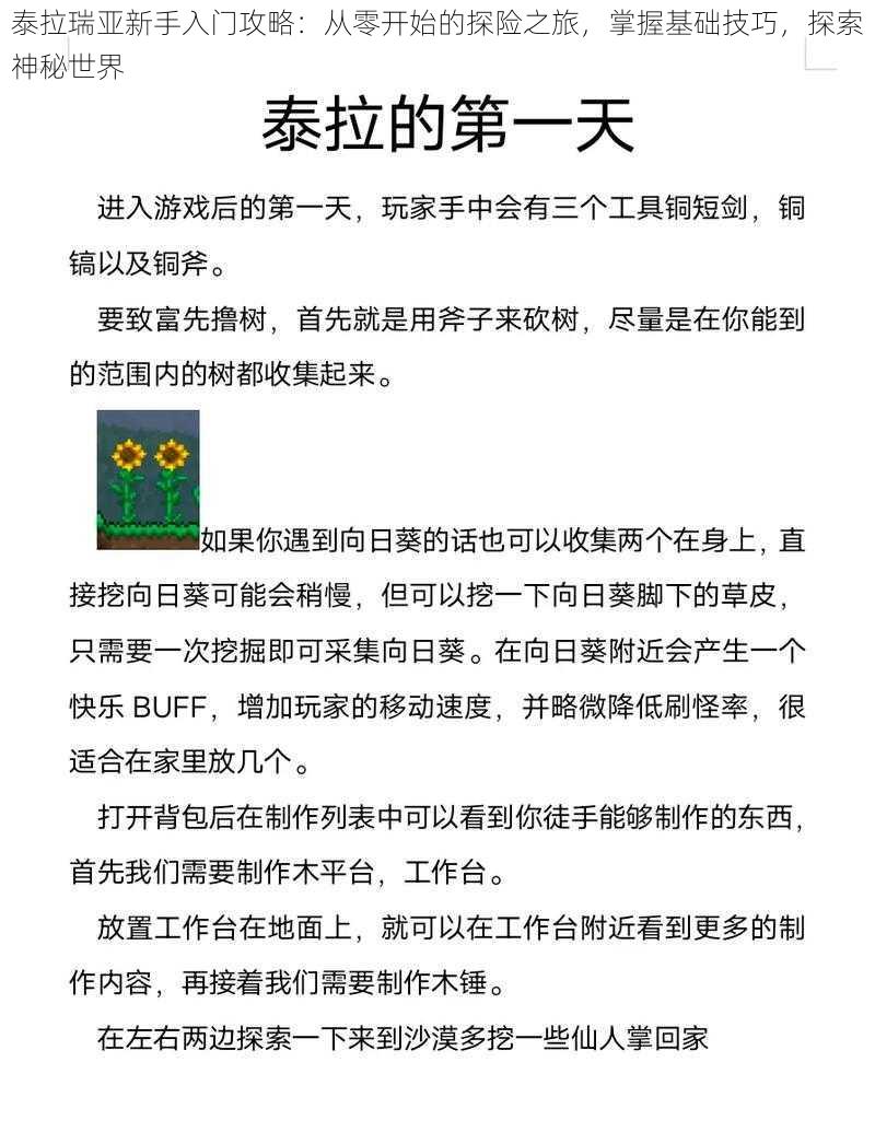 泰拉瑞亚新手入门攻略：从零开始的探险之旅，掌握基础技巧，探索神秘世界