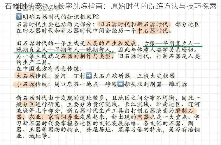 石器时代宠物成长率洗炼指南：原始时代的洗练方法与技巧探索