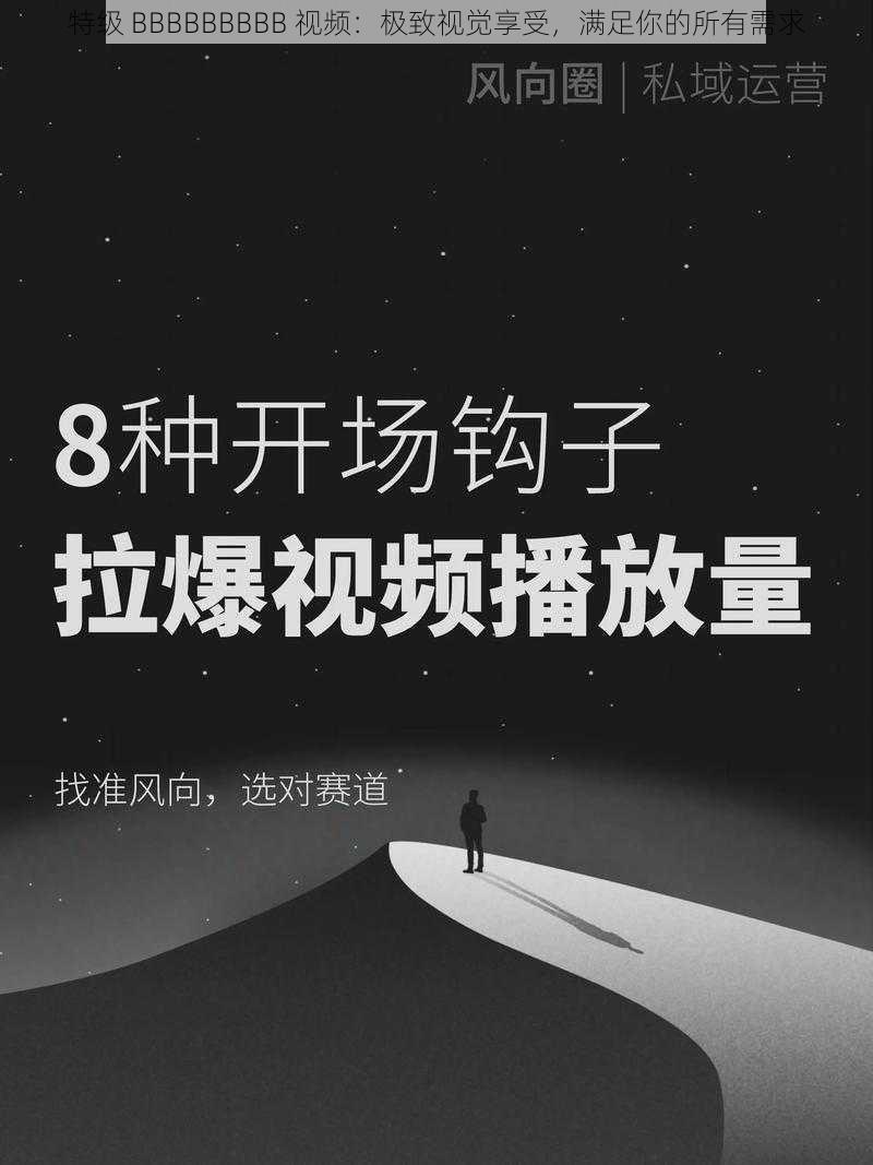 特级 BBBBBBBBB 视频：极致视觉享受，满足你的所有需求