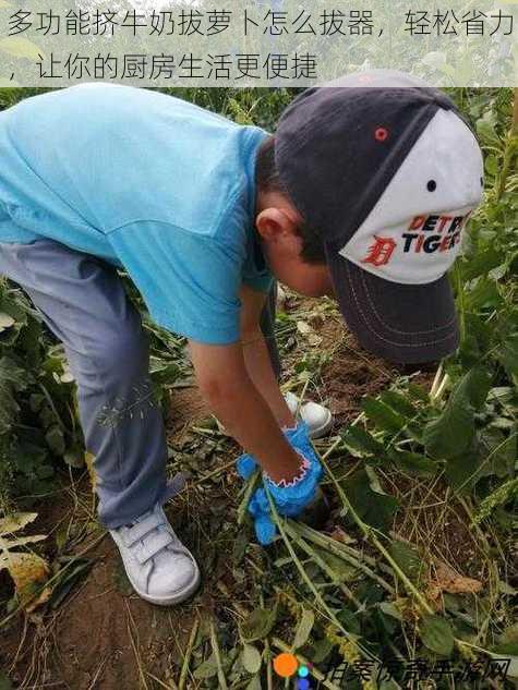 多功能挤牛奶拔萝卜怎么拔器，轻松省力，让你的厨房生活更便捷