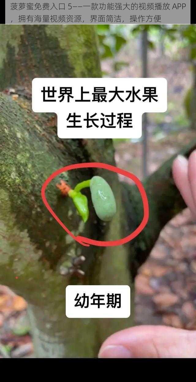 菠萝蜜免费入口 5——一款功能强大的视频播放 APP，拥有海量视频资源，界面简洁，操作方便