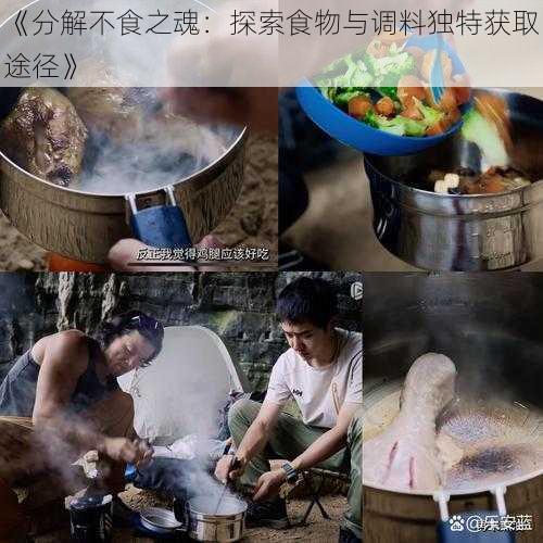 《分解不食之魂：探索食物与调料独特获取途径》