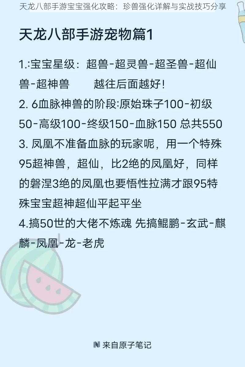 天龙八部手游宝宝强化攻略：珍兽强化详解与实战技巧分享