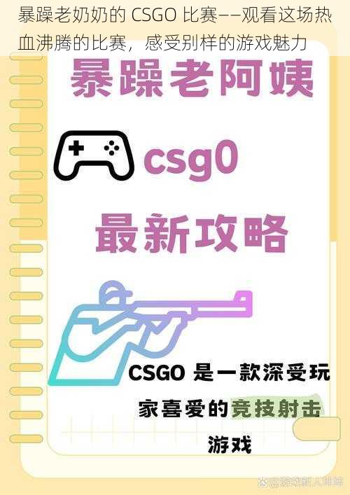 暴躁老奶奶的 CSGO 比赛——观看这场热血沸腾的比赛，感受别样的游戏魅力