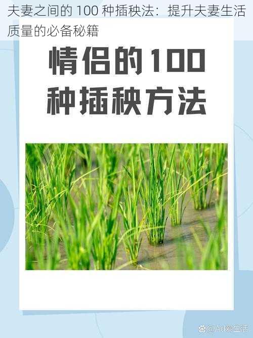 夫妻之间的 100 种插秧法：提升夫妻生活质量的必备秘籍