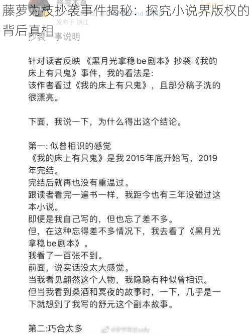 藤萝为枝抄袭事件揭秘：探究小说界版权的背后真相