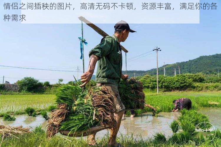 情侣之间插秧的图片，高清无码不卡顿，资源丰富，满足你的各种需求