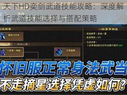 天下HD奕剑武道技能攻略：深度解析武道技能选择与搭配策略