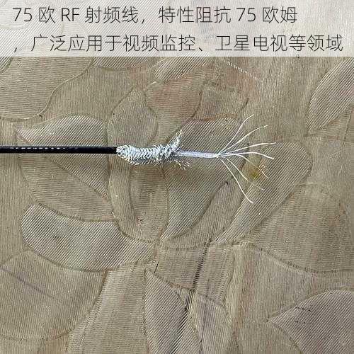 75 欧 RF 射频线，特性阻抗 75 欧姆，广泛应用于视频监控、卫星电视等领域