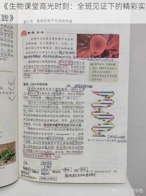 《生物课堂高光时刻：全班见证下的精彩实践》